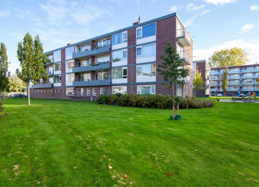 Gedenklaan 86