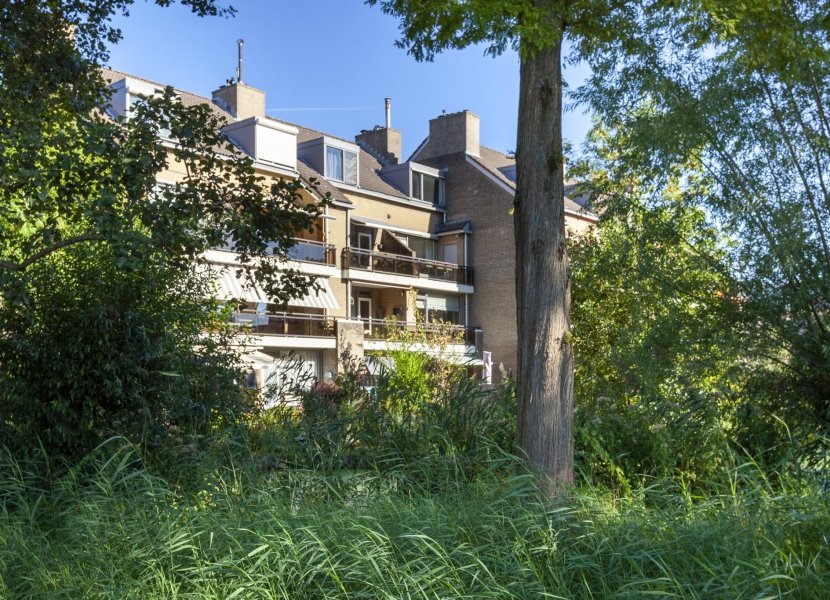 Anna van Hensbeeksingel 215