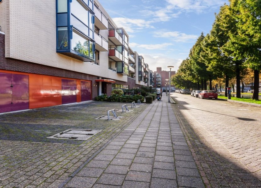 Statensingel 46