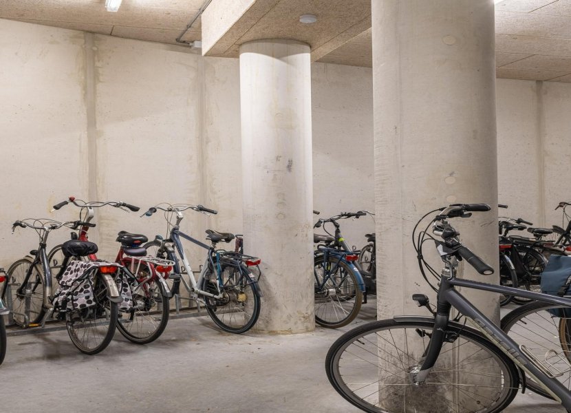 Uiverplein 204