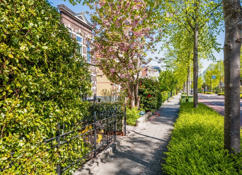 Graaf Florisweg 47