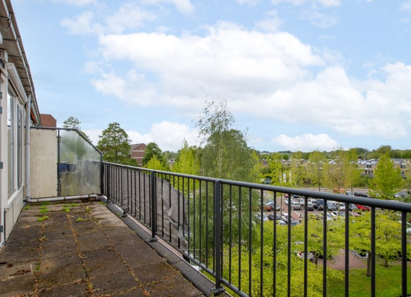 Swadenburg 64