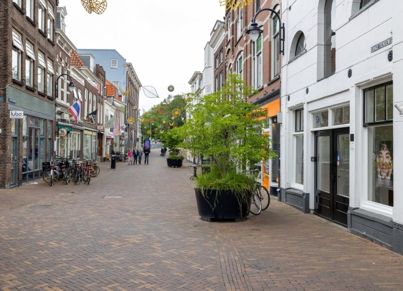 Lange Tiendeweg 59