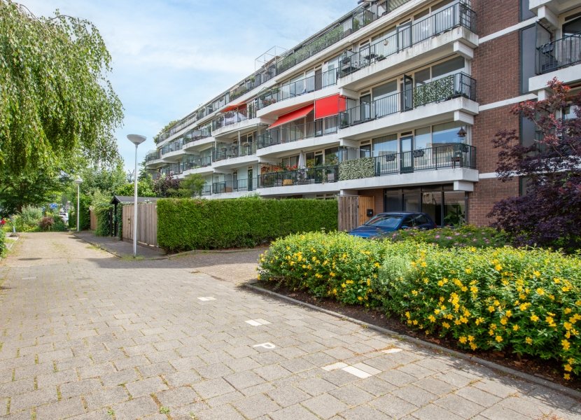 Haastenburg 8