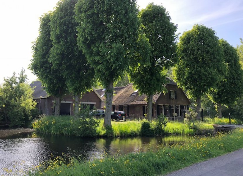 Bloemendaalseweg 43